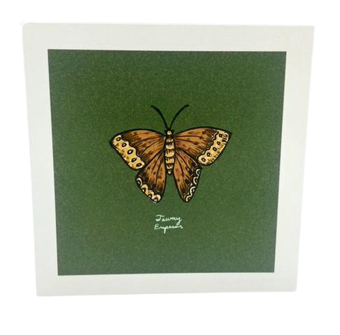 Native Butterfly Print