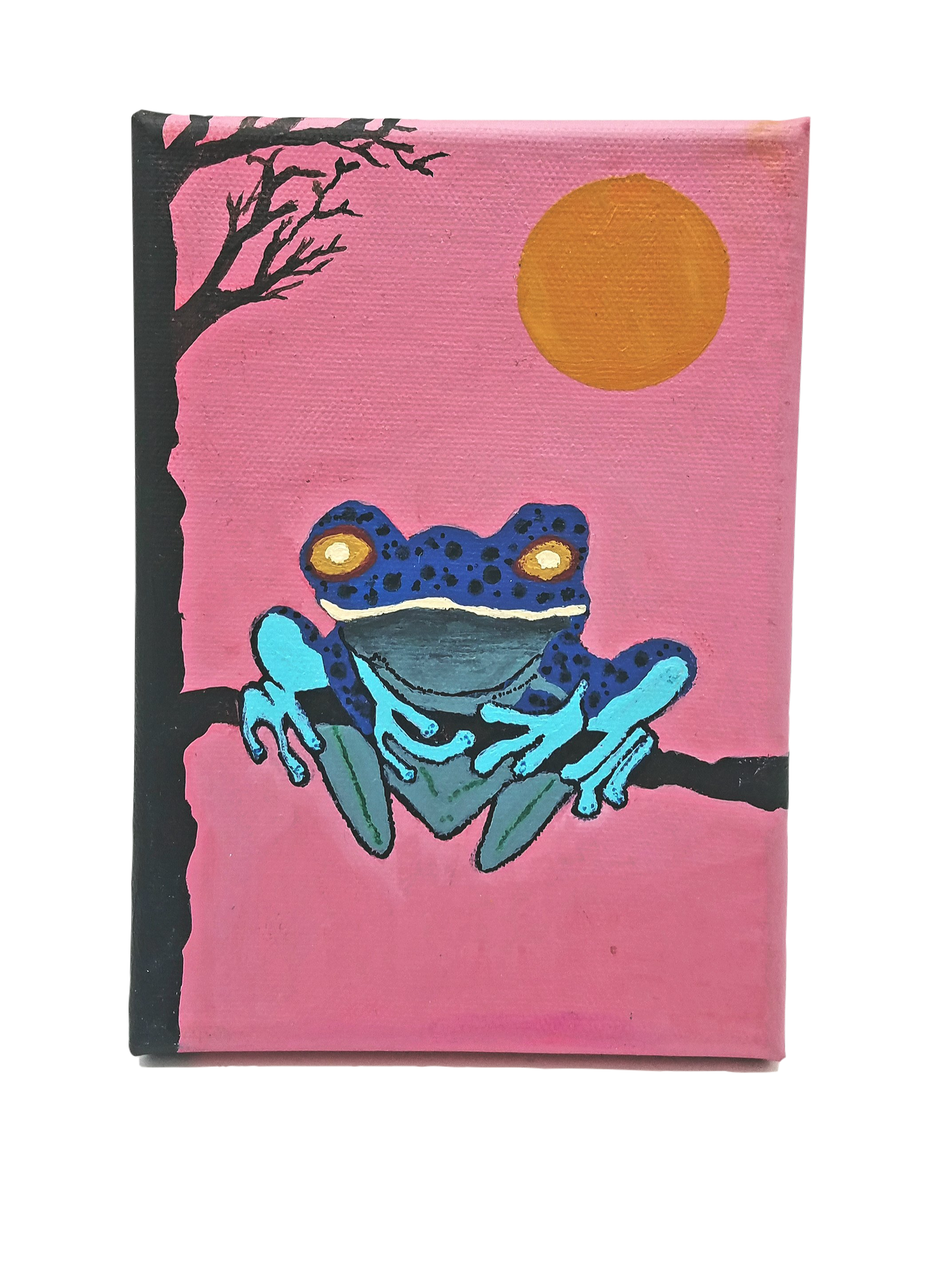 Tree Frog Mini Canvas